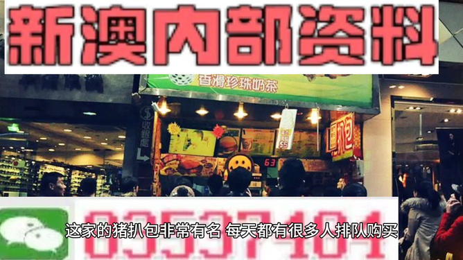 新奥天天精准资料大全，新奥天天精准资料大全，探索与应用