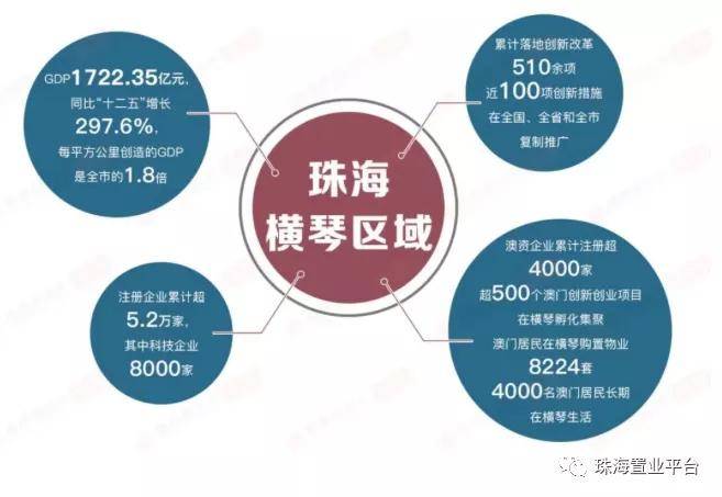 2025澳家婆一肖一特，探索未来，聚焦澳家婆的独特魅力与独特预测——以2025年生肖与特色展望