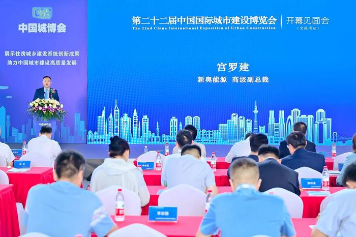 新奥马免费资料大全，新奥马免费资料大全，探索与启示