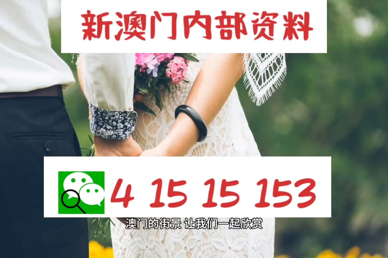 澳门最准的资料免费提供，澳门最准的资料免费提供，探索与发现