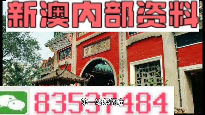 新澳门免费全年资料查询，新澳门免费全年资料查询，深度探索与实用指南