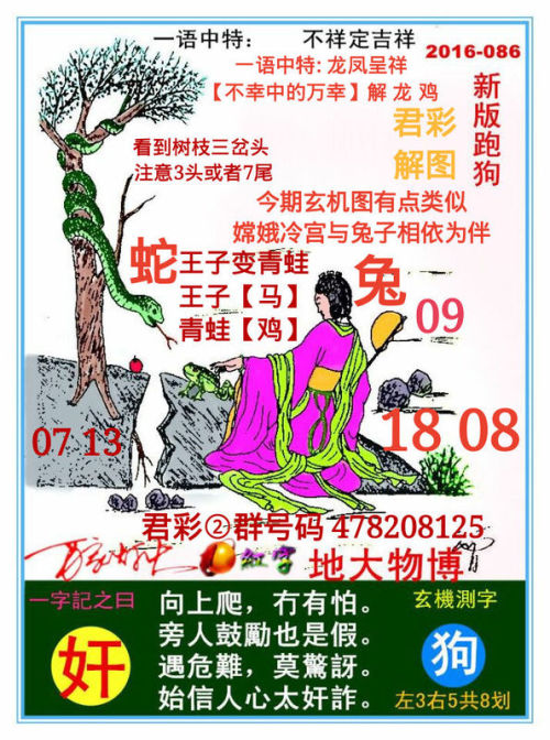 跑狗图993994www跑狗，跑狗图，一种文化现象的多维解读