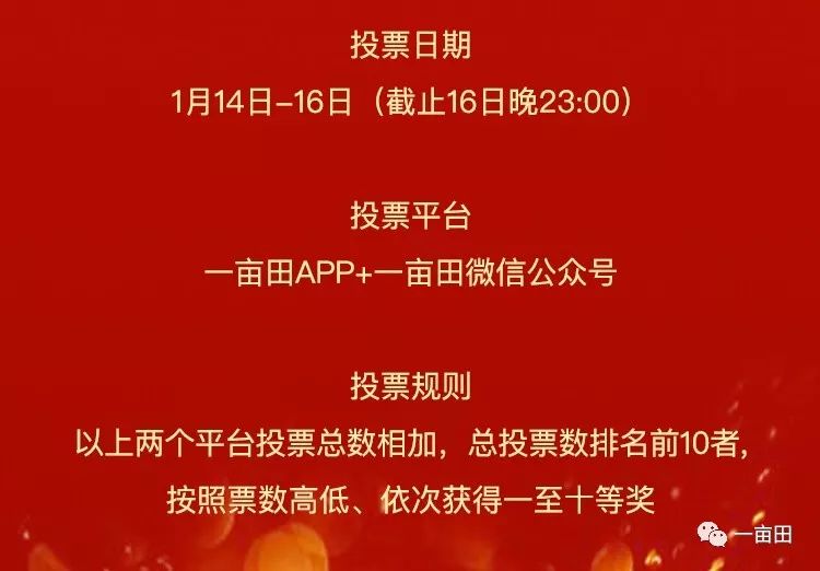 新奥天天彩正版免费全年资料，新奥天天彩正版免费全年资料，探索与解析