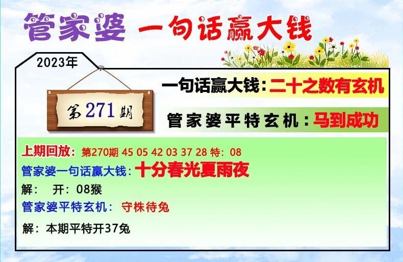 202管家婆一肖一码，揭秘202管家婆一肖一码的秘密世界