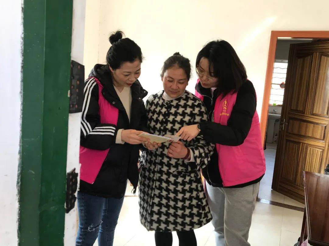 新澳门免费挂牌大全，新澳门免费挂牌大全，探索与揭秘