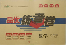 二四六天天彩资料大全2013年，二四六天天彩资料大全2013年，回顾与探索