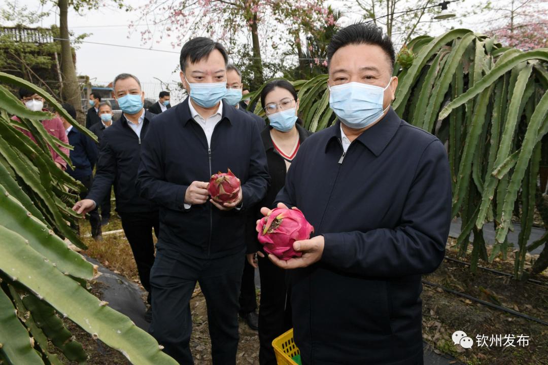 新澳资料正版免费资料，新澳资料正版免费资料，助力学习与发展的宝贵资源