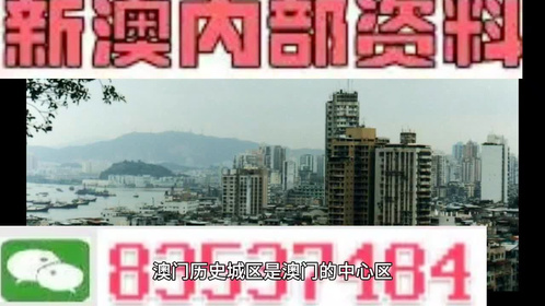 新澳门免费资料大全正版，新澳门免费资料大全正版，探索与解析