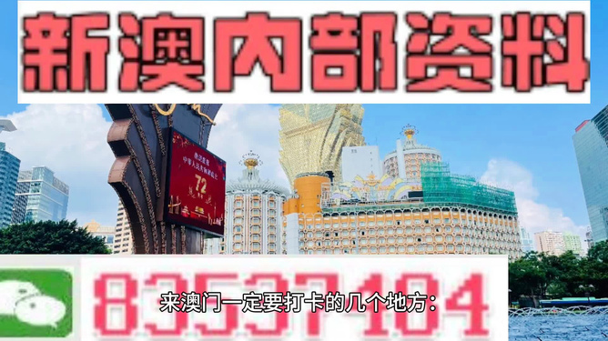 新澳门正版免费大全，新澳门正版免费大全，探索与体验