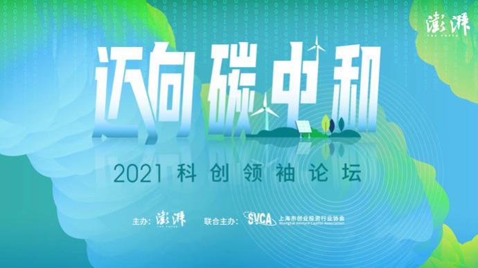 2025年天天开好彩大全，迈向2025年天天开好彩的奇妙旅程