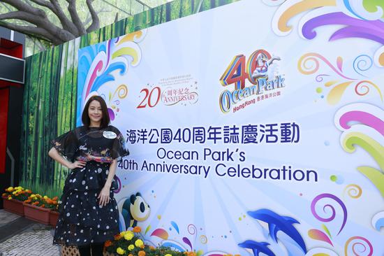 2025香港资料免费大全最新版下载，2025香港资料免费大全最新版下载——探索信息的海洋